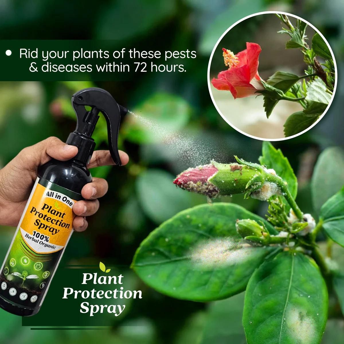 All in One Plant Protection Spray